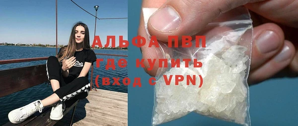 спиды Богданович