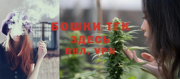 mdpv Богородск
