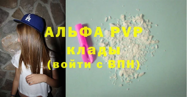 спиды Богданович