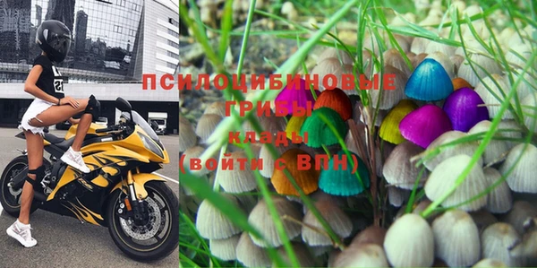 спиды Богданович