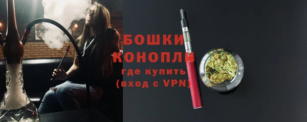 стаф Богородицк