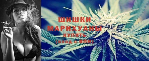 mdpv Богородск