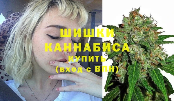 spice Болхов
