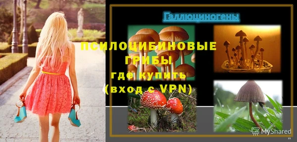 mdpv Богородск