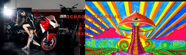спиды Богданович
