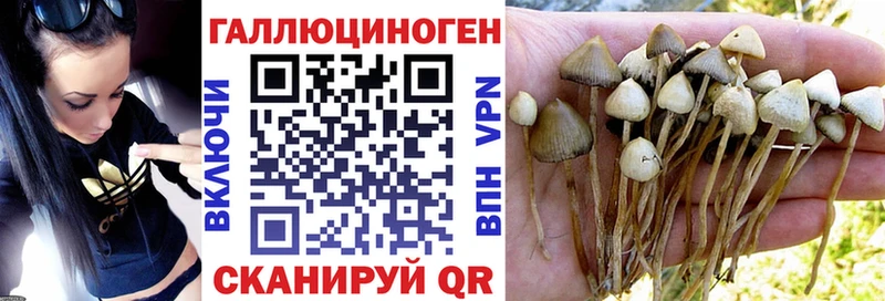 Псилоцибиновые грибы ЛСД  Купить где  Белёв 